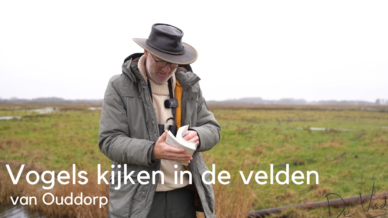 Vogels kijken in de velden van Ouddorp #1734