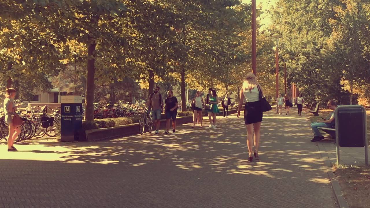 Tilburg University - A hot summer day!