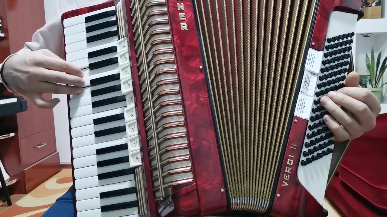 Te-am văzut în orice floare | tutorial acordeon
