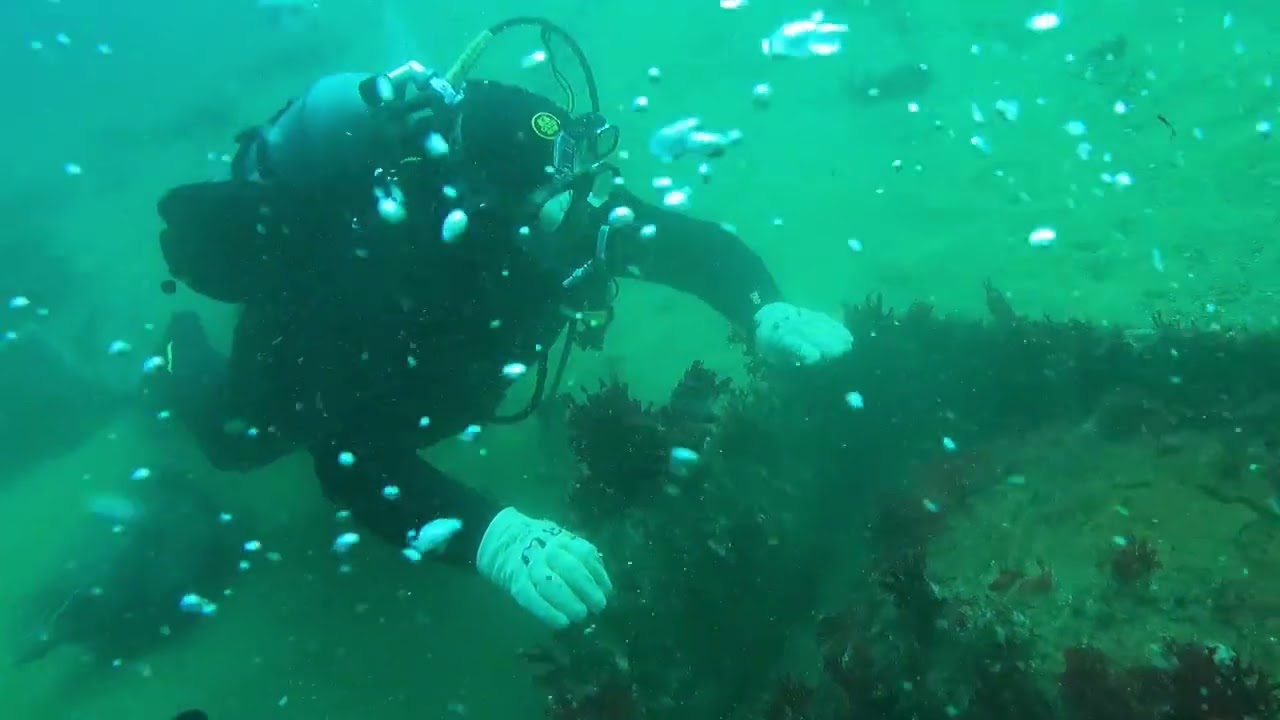 Dive Conditions 11 23 2025