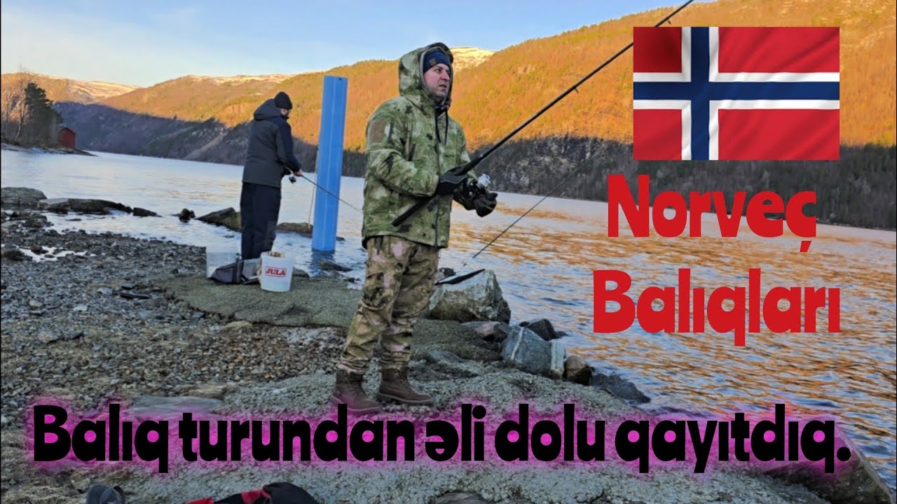 Norveç.. Okean balıqları.