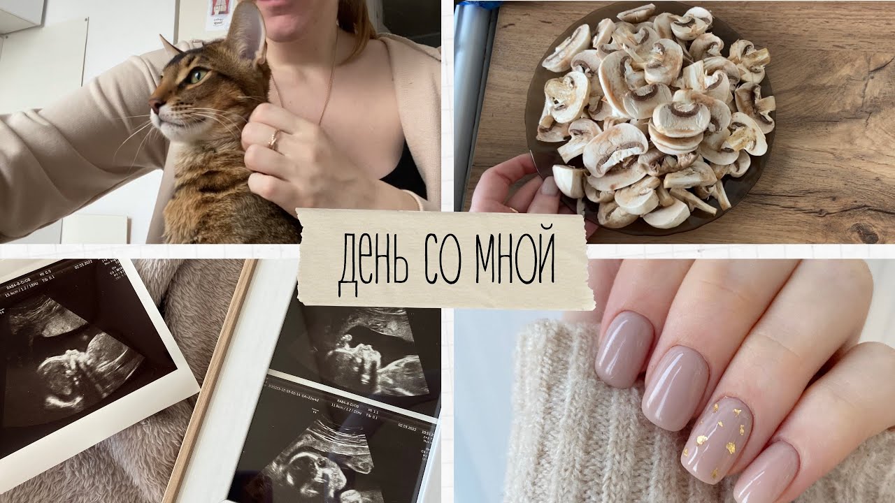 Беременные будни 🤰 Готовлю жульен из шампиньонов #беременныйвлог
