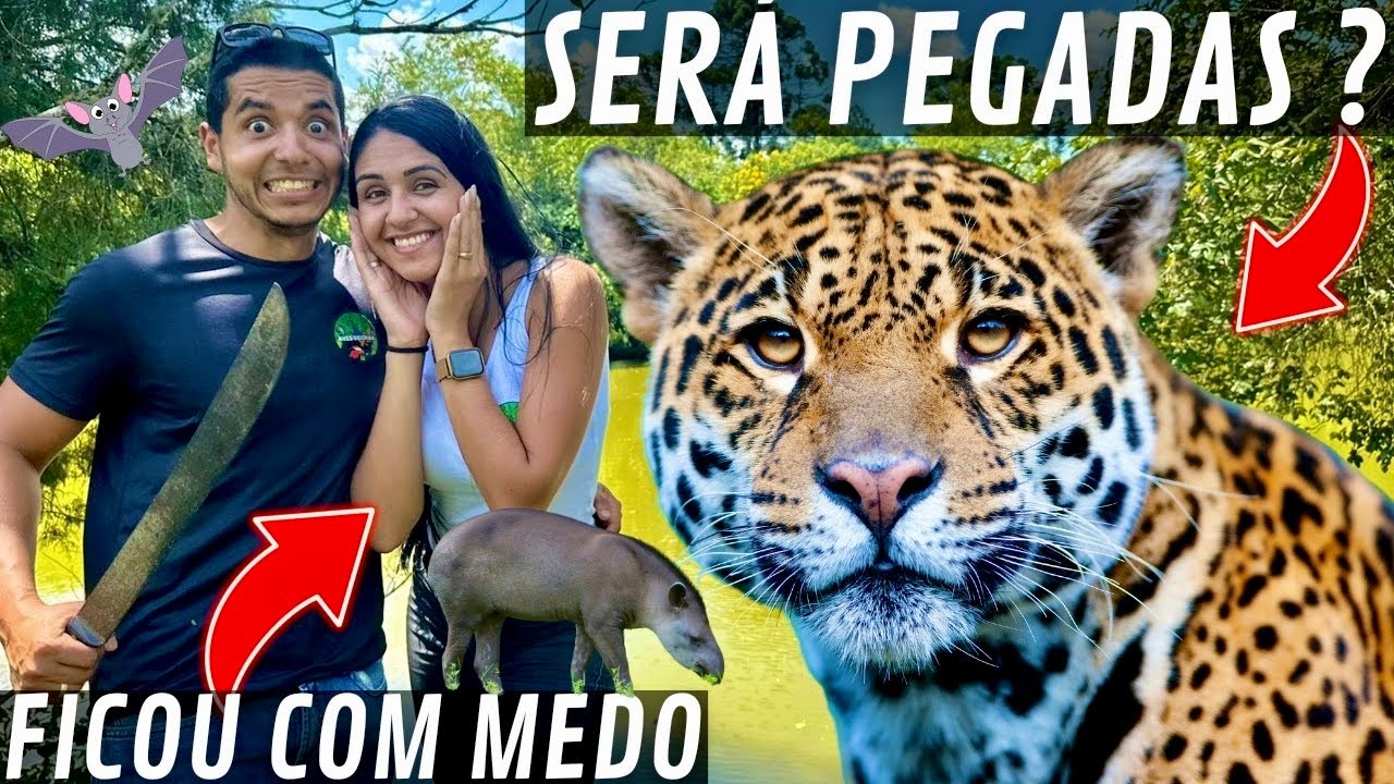 O que falta para COMPRAR a chacara ? | Pegadas de animais silvestres | Aves Recriar