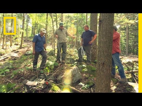The Clients | Building Wild