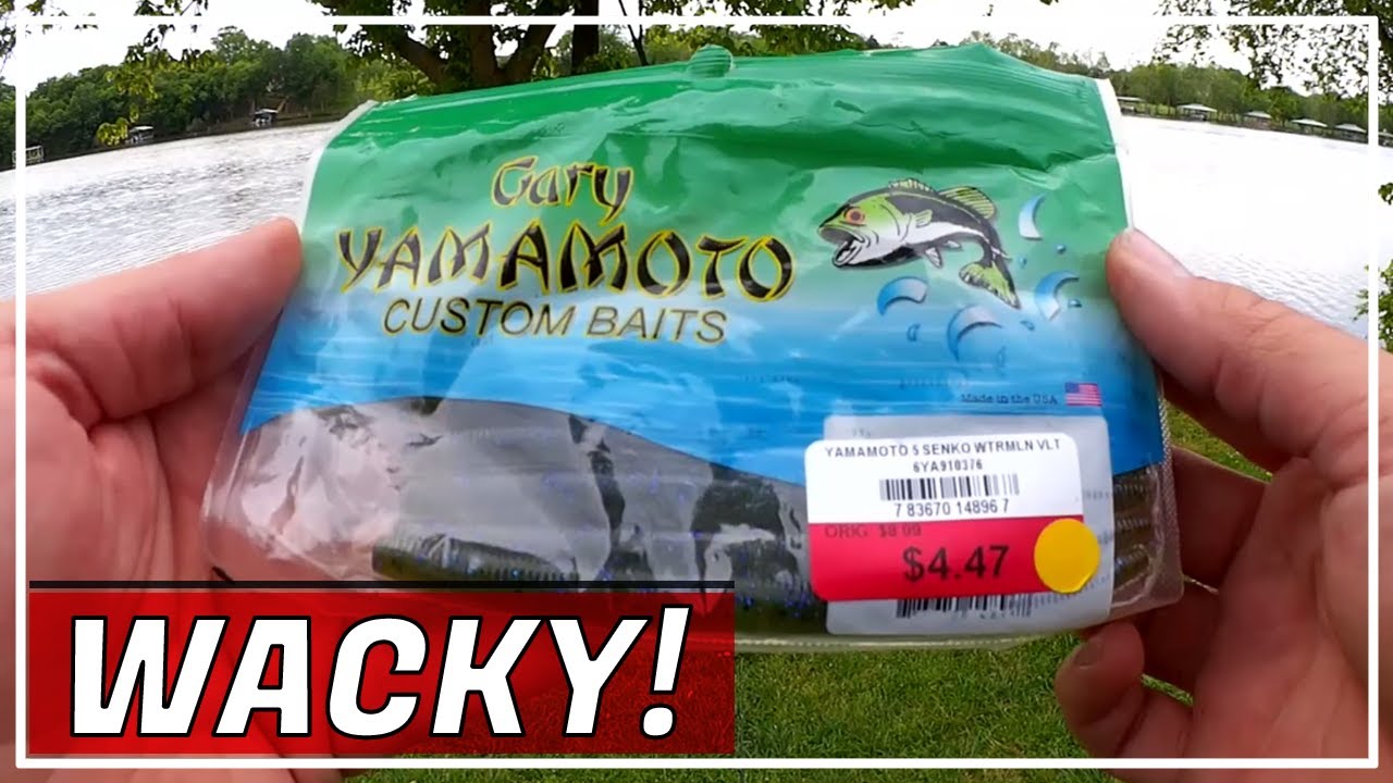 Bass Fishing with a WACKY Rig SENKO on Spinning Gear - Nice Bass!