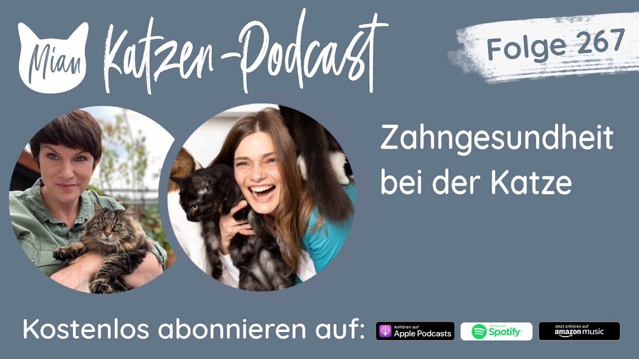 #267 Zahngesundheit bei der Katze | Miau Katzen-Podcast