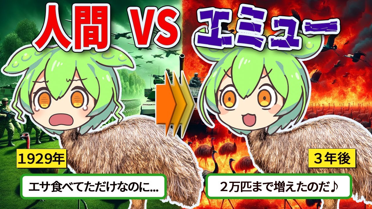 【実話】鳥と人類が本気で戦争した結果がヤバすぎた【ずんだもん＆ゆっくり解説】