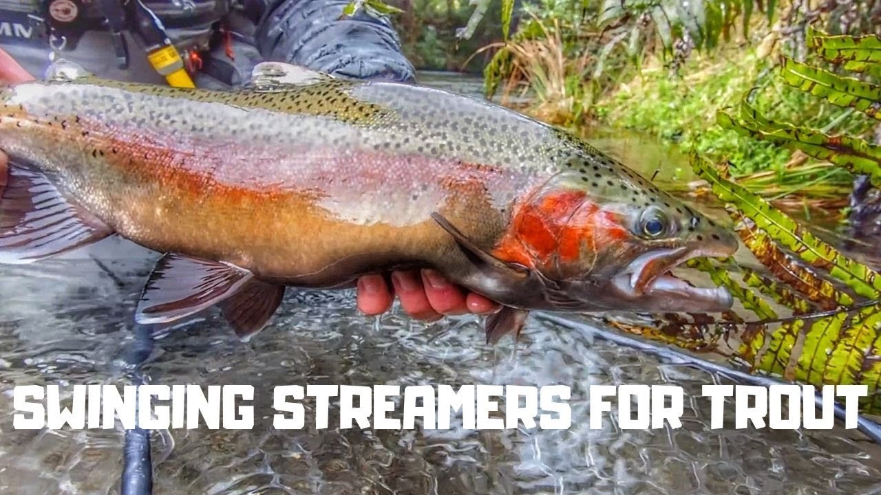 Fly Fishing New Zealand [Swinging Streamers for Trout]