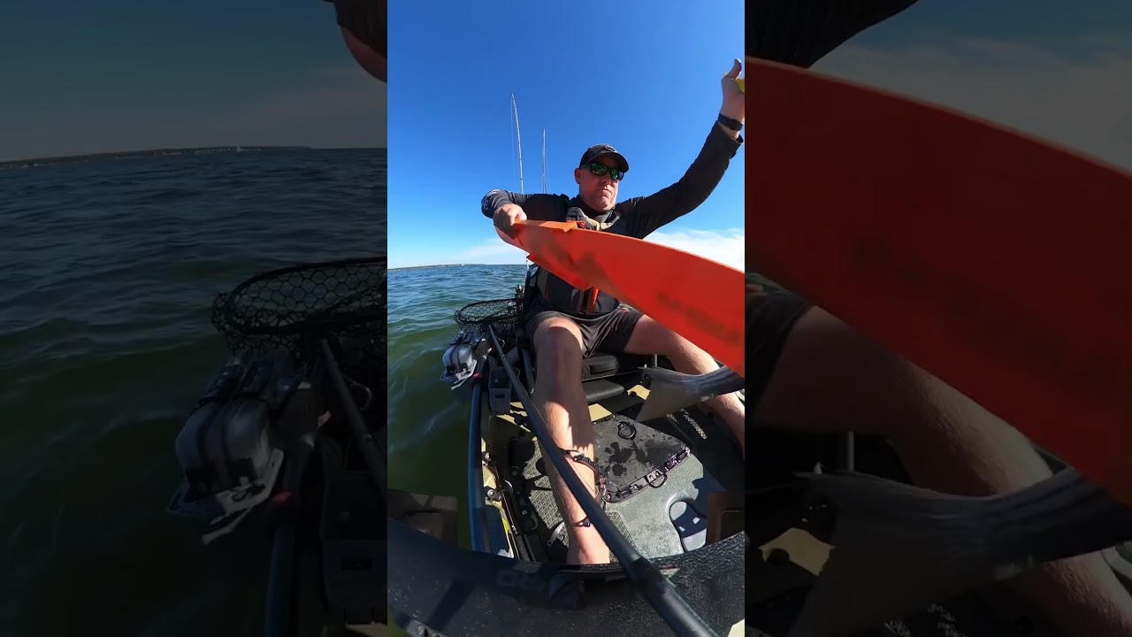 Rockfishing in the Patuxent River#stripedbassfishing #rockfishing #fishingvideo #fishing #bigfish