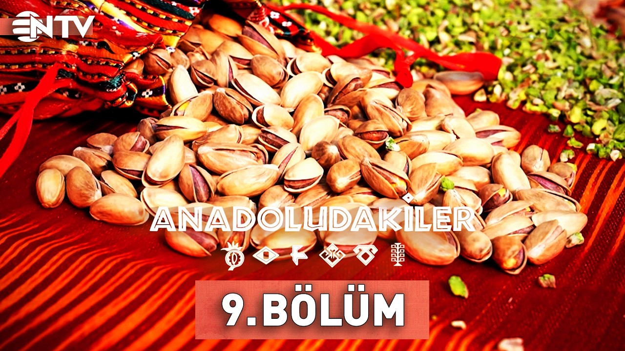 Anadoludakiler 9. Bölüm | Gaziantep | NTV