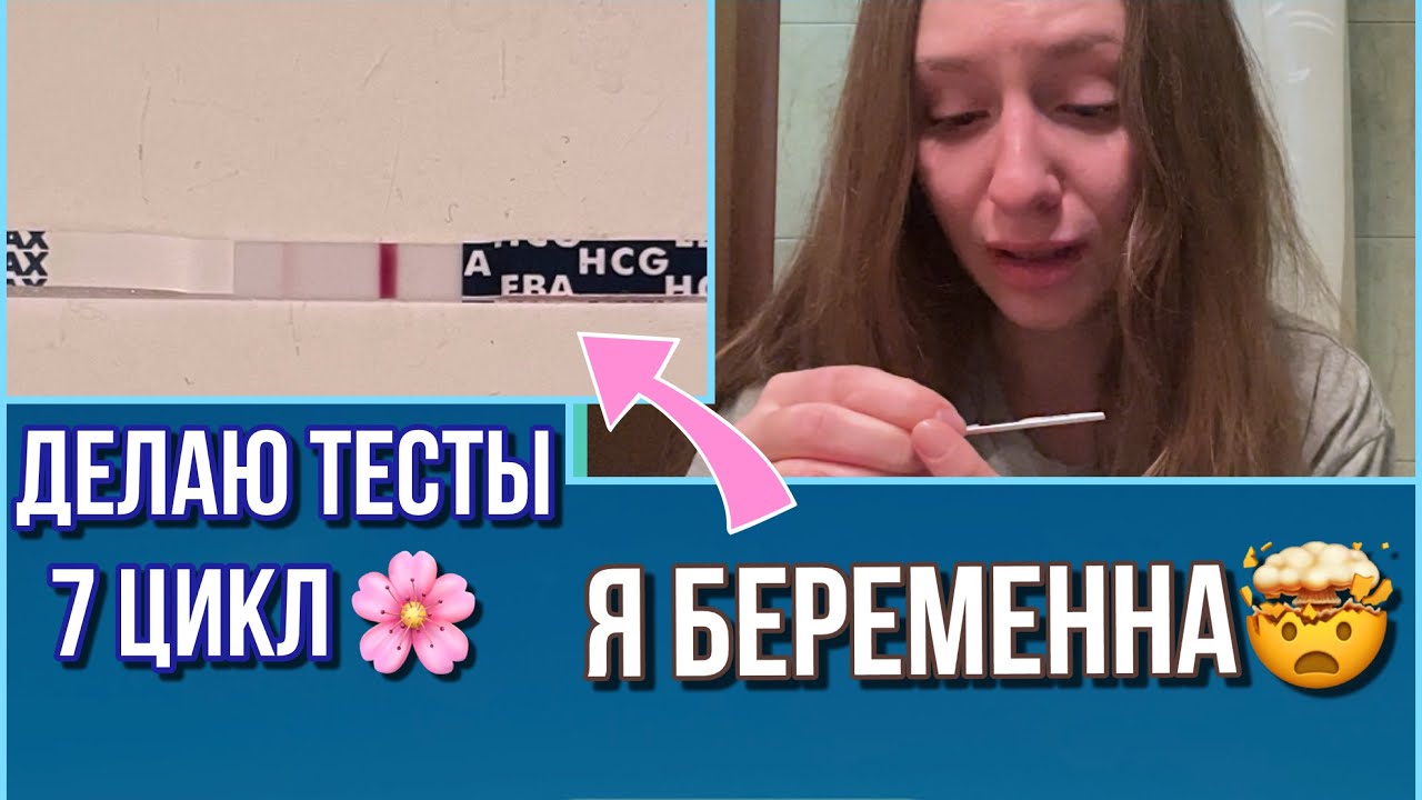 7 цикл планирования | Делаю тесты | Я БЕРЕМЕННА