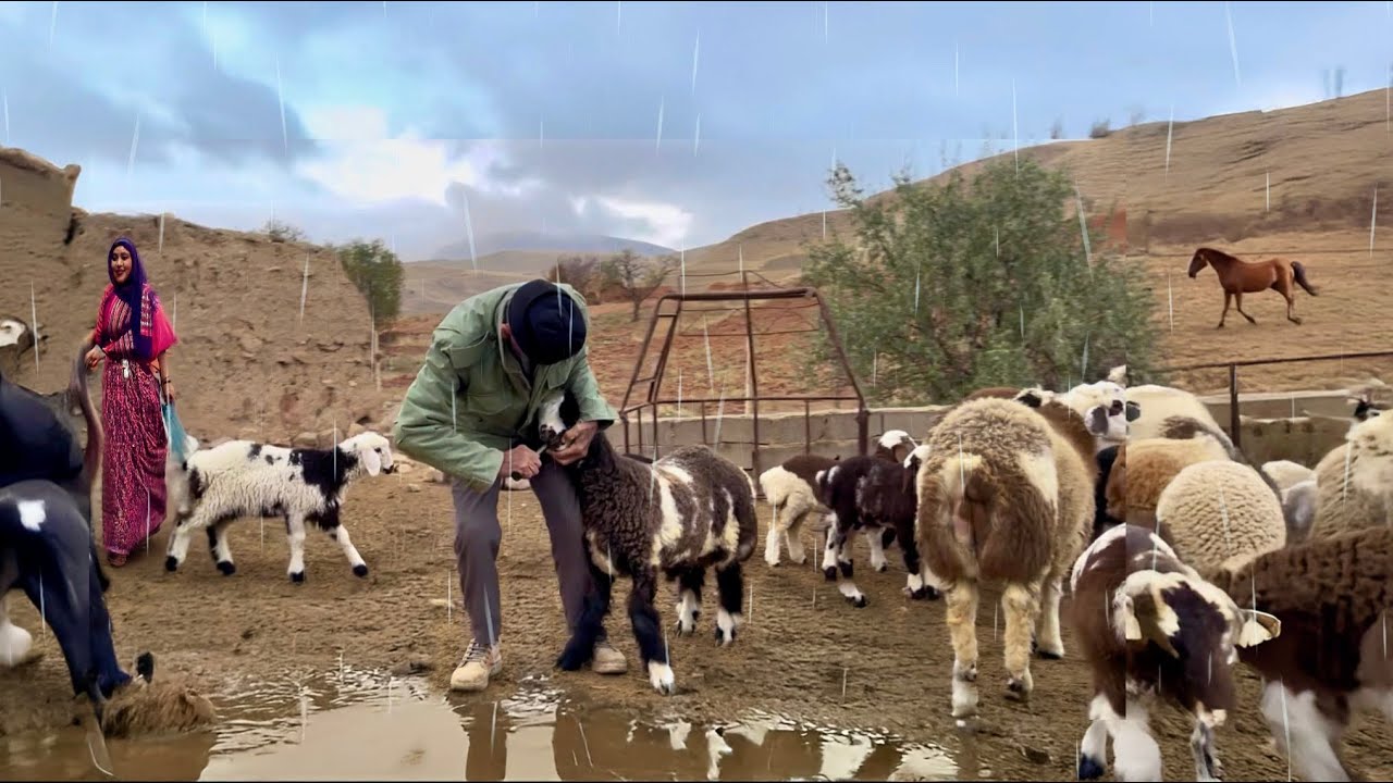 Rainy Spring Day in an Iranian Mountain Village | Life Doesn’t Stop Here