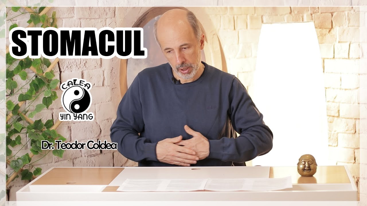 Stomacul-Dr.Teodor Coldea - Calea Yin Yang