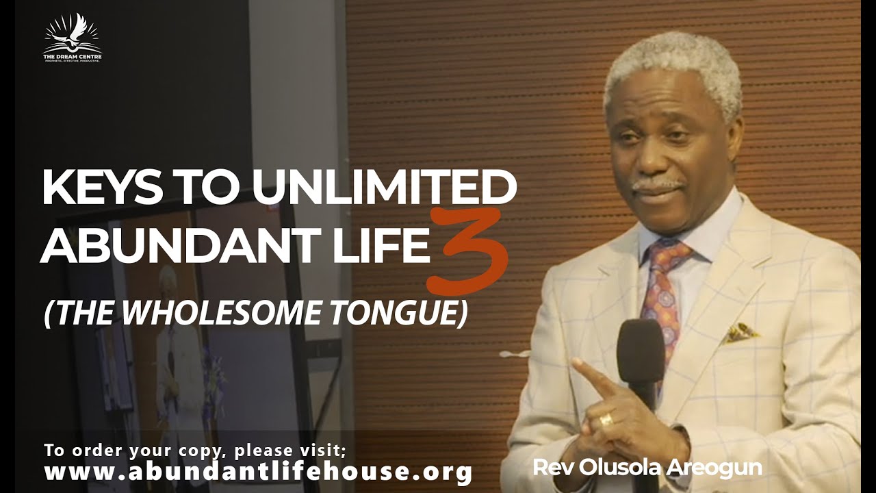 The Wholesome Tongue - Keys to the Unlimited Abundant Life | Olusola Areogun