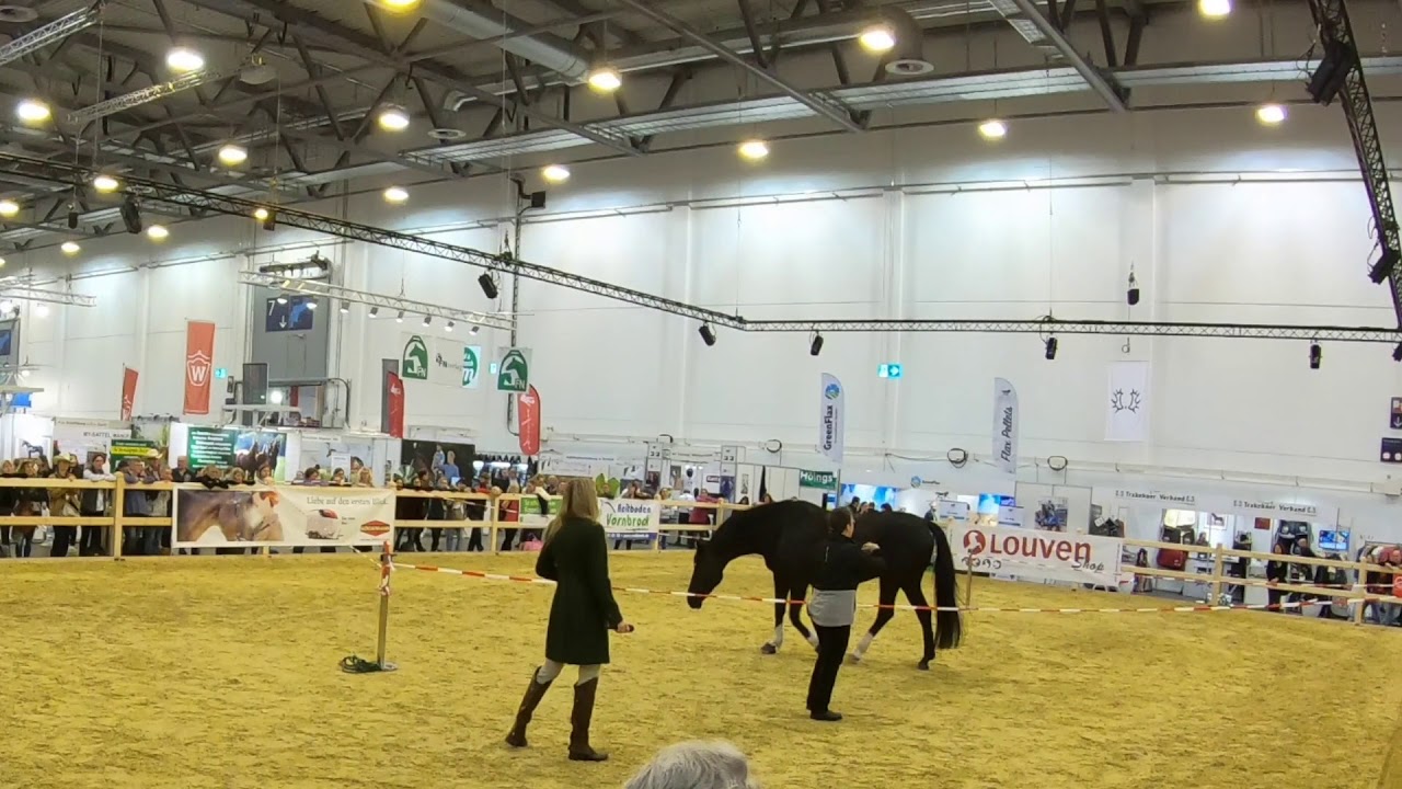 Equitana 2019 Essen, Germany -  Sharon Wilsie and Horse Speak Basics
