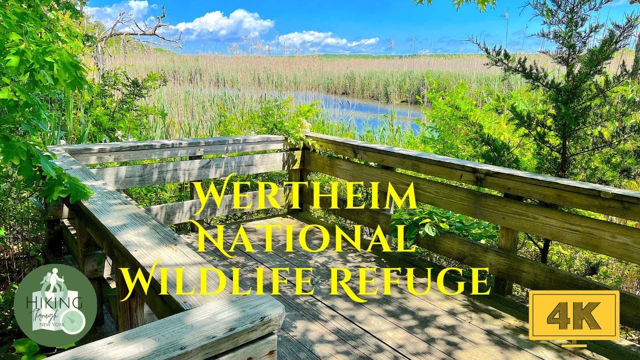 Best Parks to Hike on Long Island: Wertheim National Wildlife Refuge