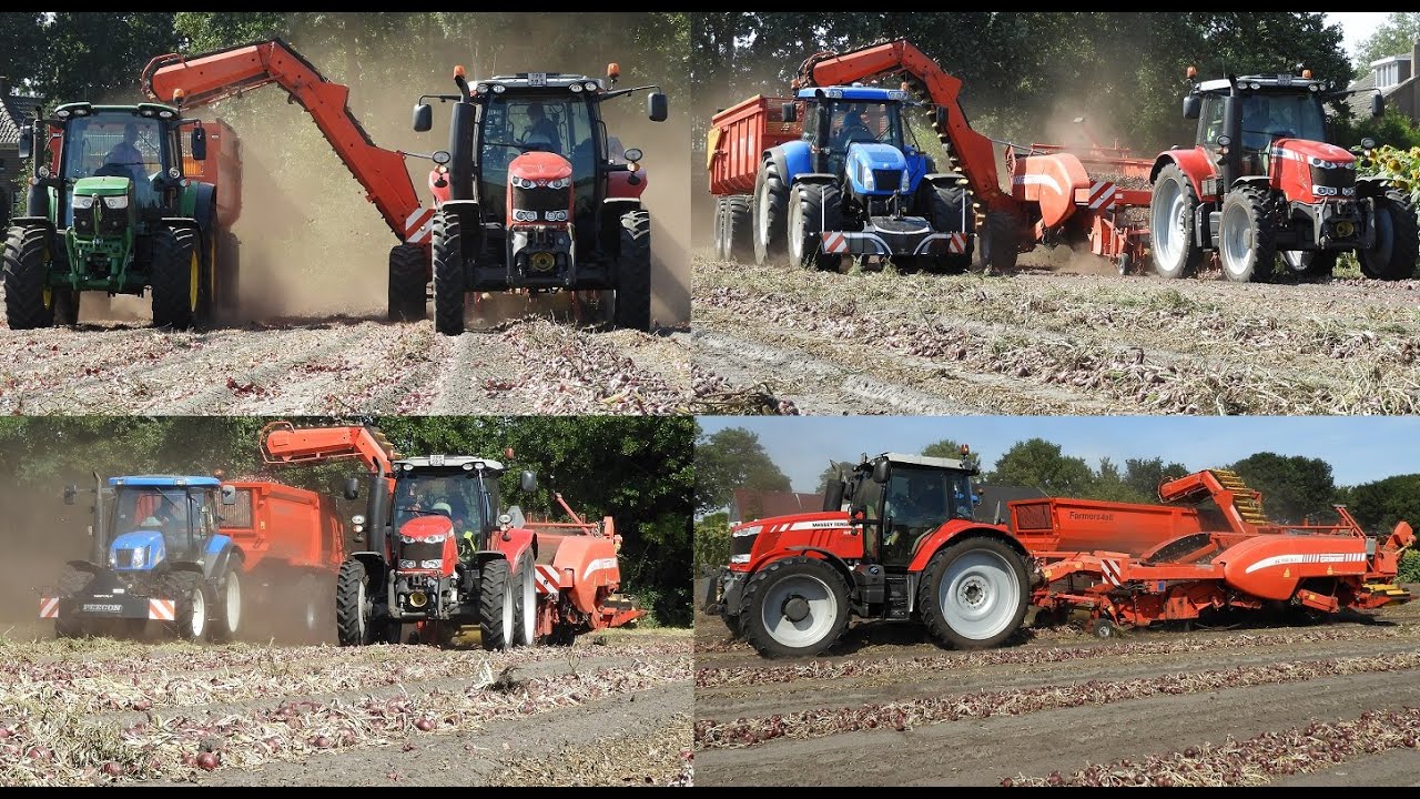 Rode uien laden in Dedemsvaart! Loading red onions!. MF. New Holland. John Deere. Beco. Grimme