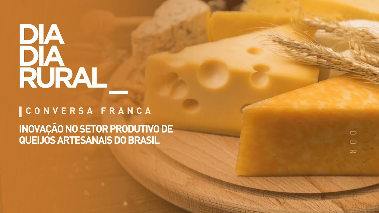 Inova&ccedil;&atilde;o no setor produtivo de queijos artesanais do Brasil