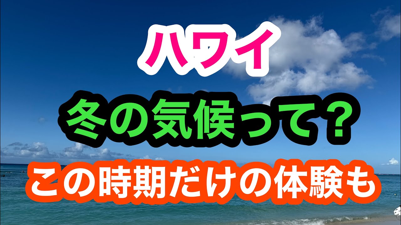 ハワイの冬期間の気候について、そしてこの時期だけ体験できる事。