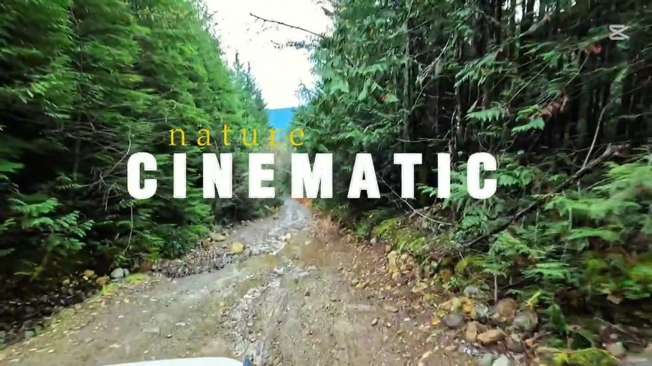 Scenic road to Clear Creek Hot Springs BC Canada