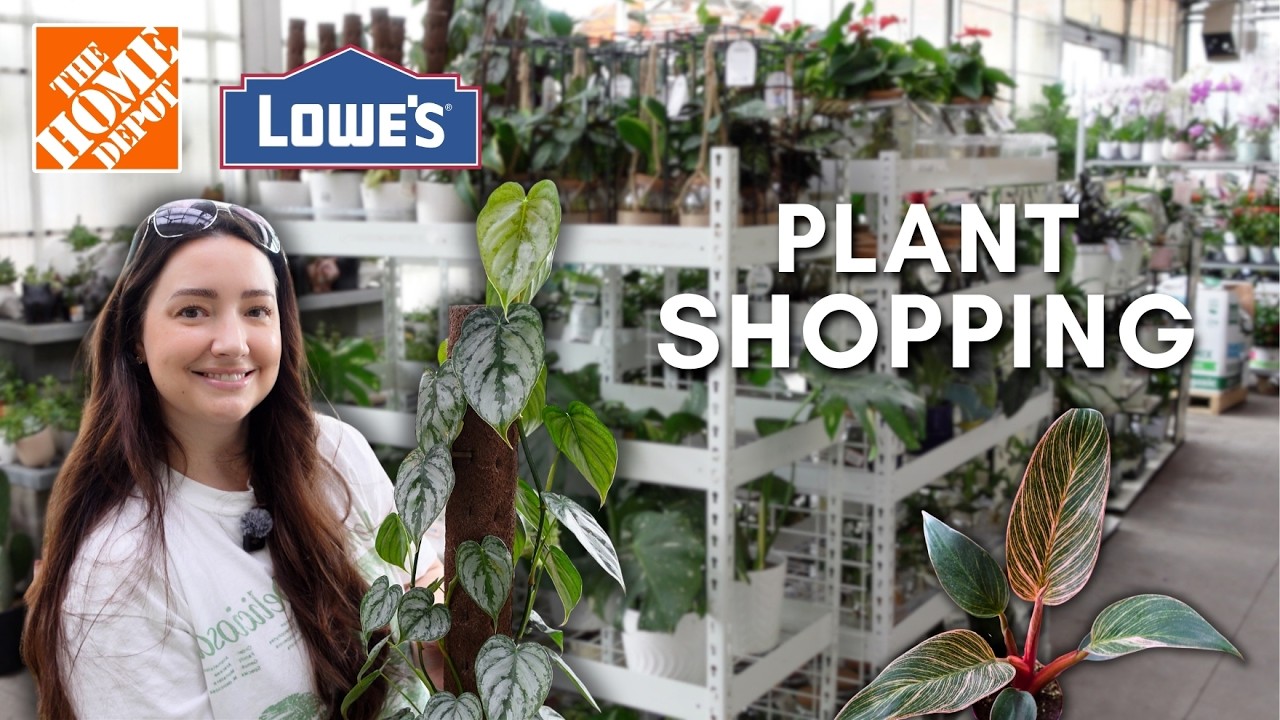 Big Box Plant Shopping 🌿 What's New at Lowe's & Home Depot | May 2026