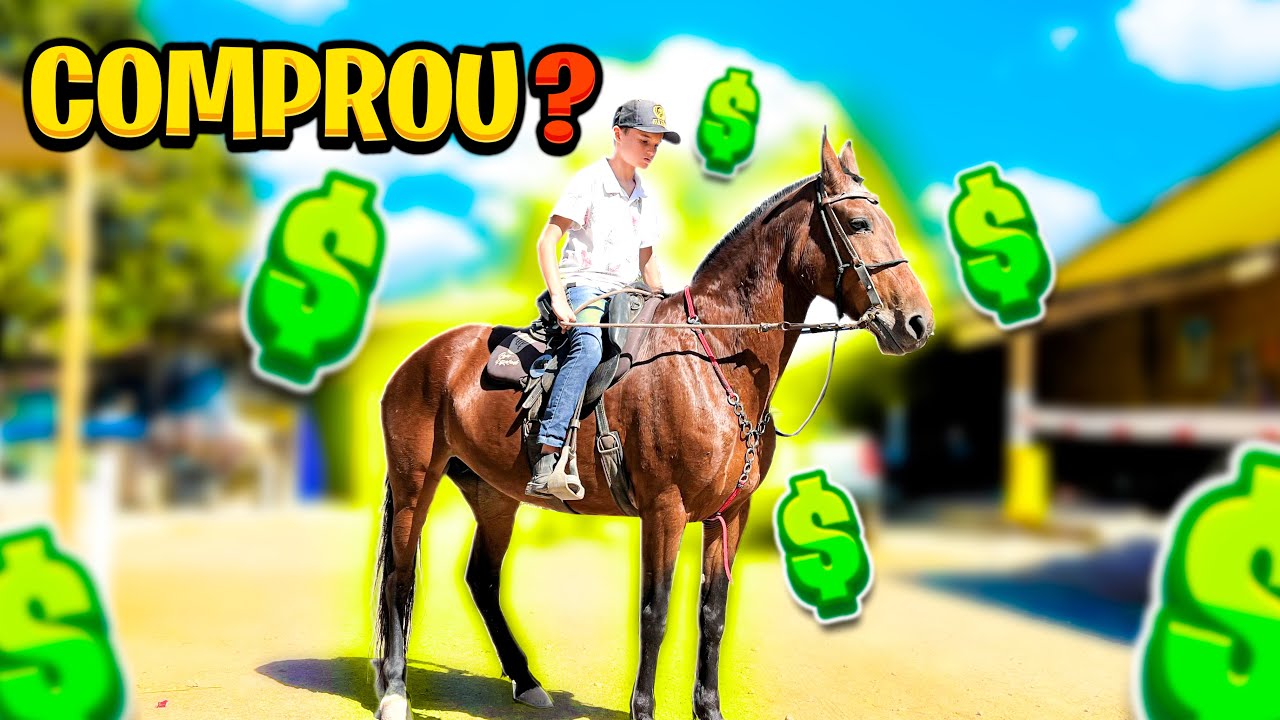NOVA ÉGUA do PEÃO ABEIA