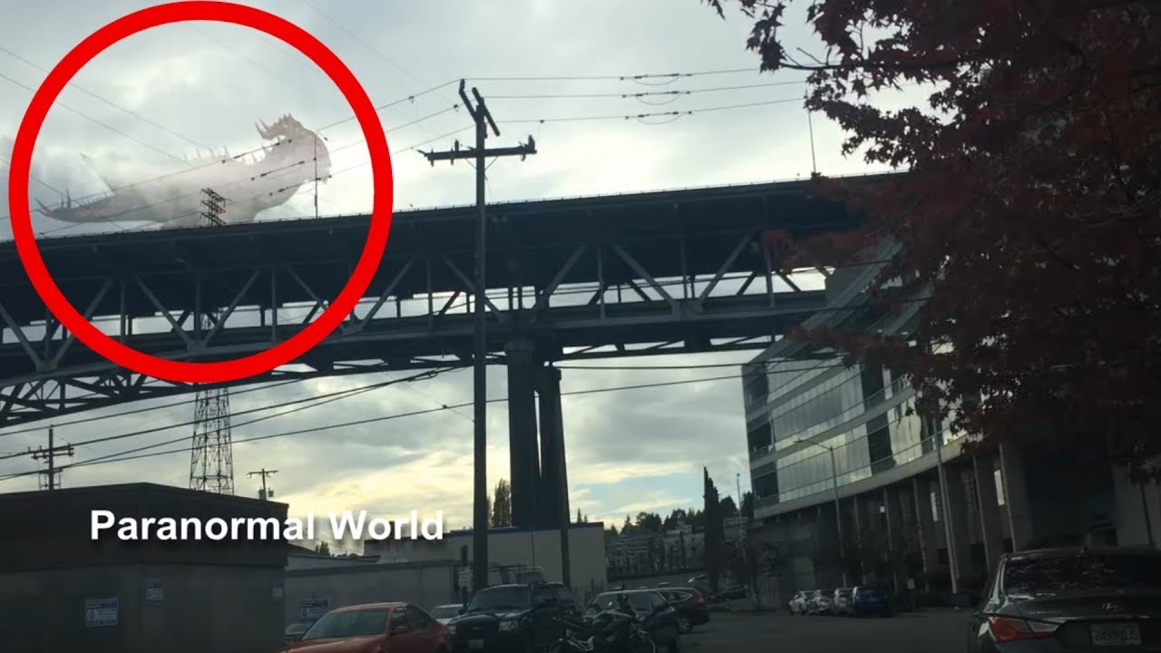 Mythical Creature Crossing the Bridge Caught on Camera