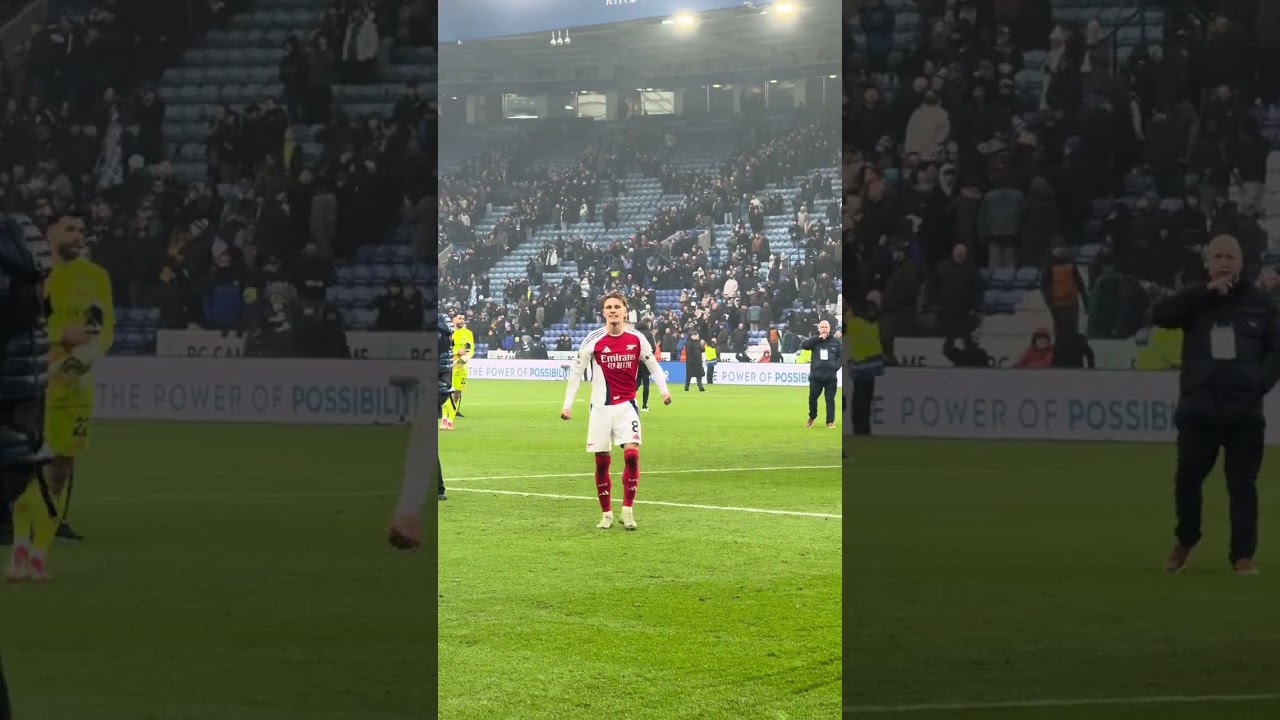 🎶 MIKEL MERINO 🎶