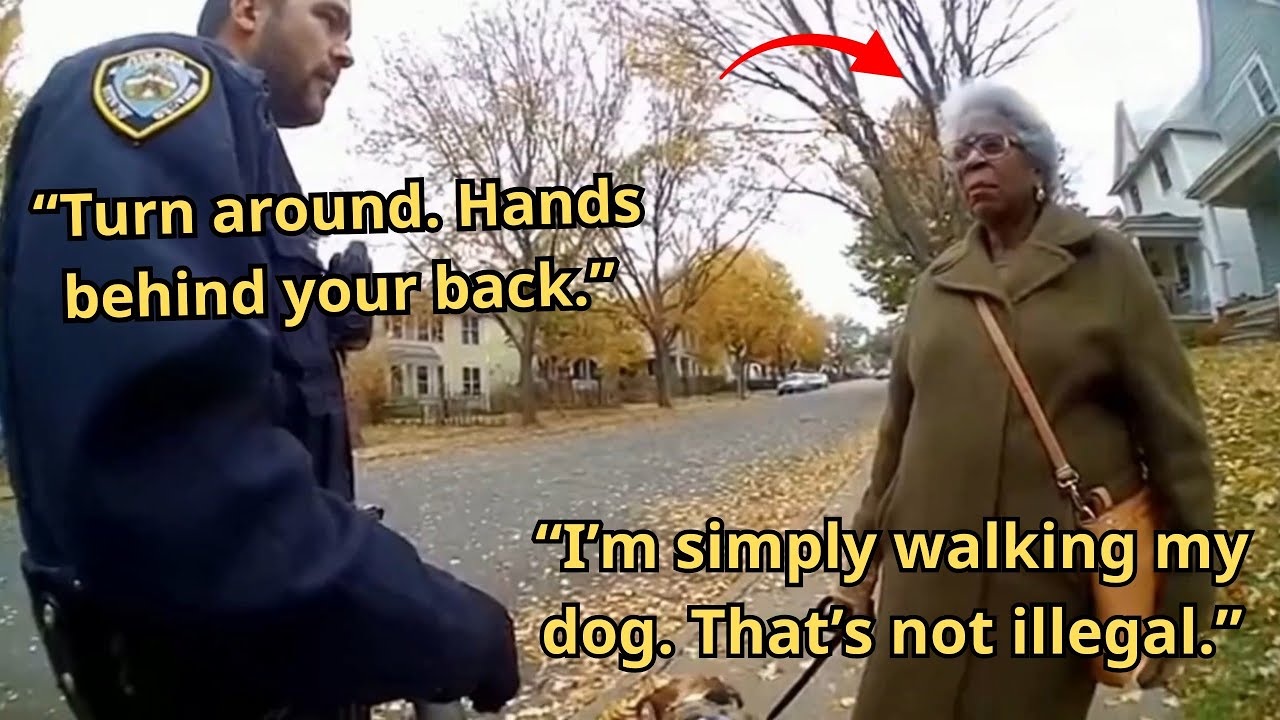 Racist Cop Stops Black Woman Walking Her Dog — Seconds Later Learns She’s a Family Court Judge