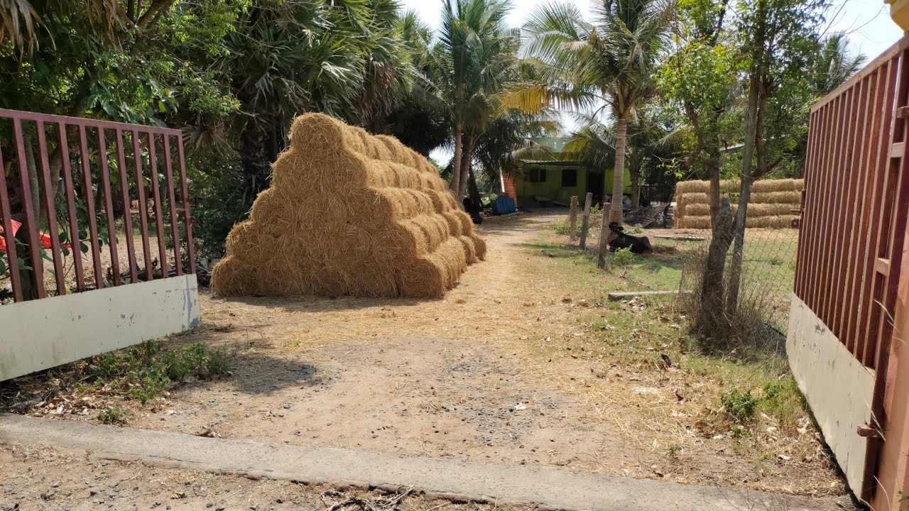 No :131 Agriculture Land Property 3Acres for sale Near Pavinjur | 9843126285