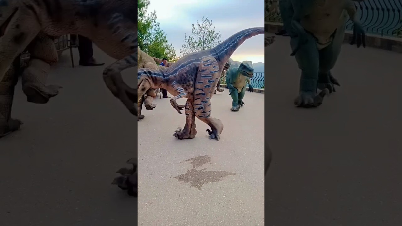 #dinosaur #dance #dinovalley #youtubeshorts #shorts #littleprincearshman