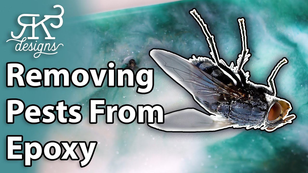 Don't Miss These Epoxy Tips For Pest Removal & Top Coat