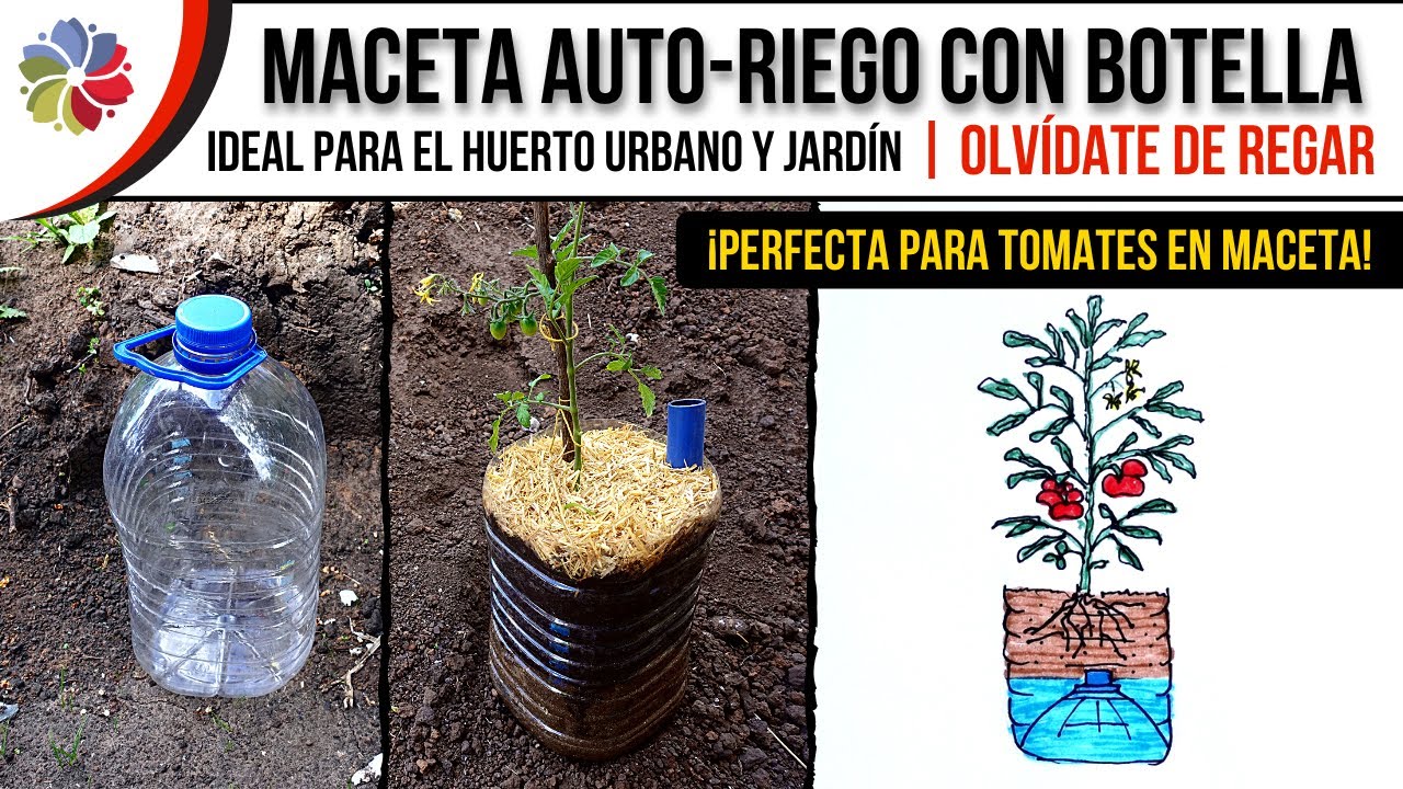 💦 MACETA AUTO-RIEGO CASERA con BOTELLÓN o BIDÓN | Ideal para TOMATE en MACETA, HUERTO y JARDÍN