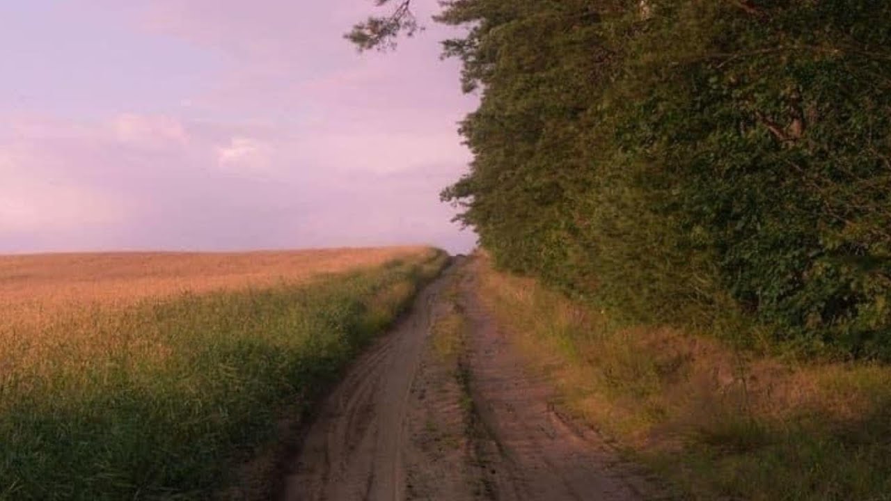 a playlist to walk down memory lane.