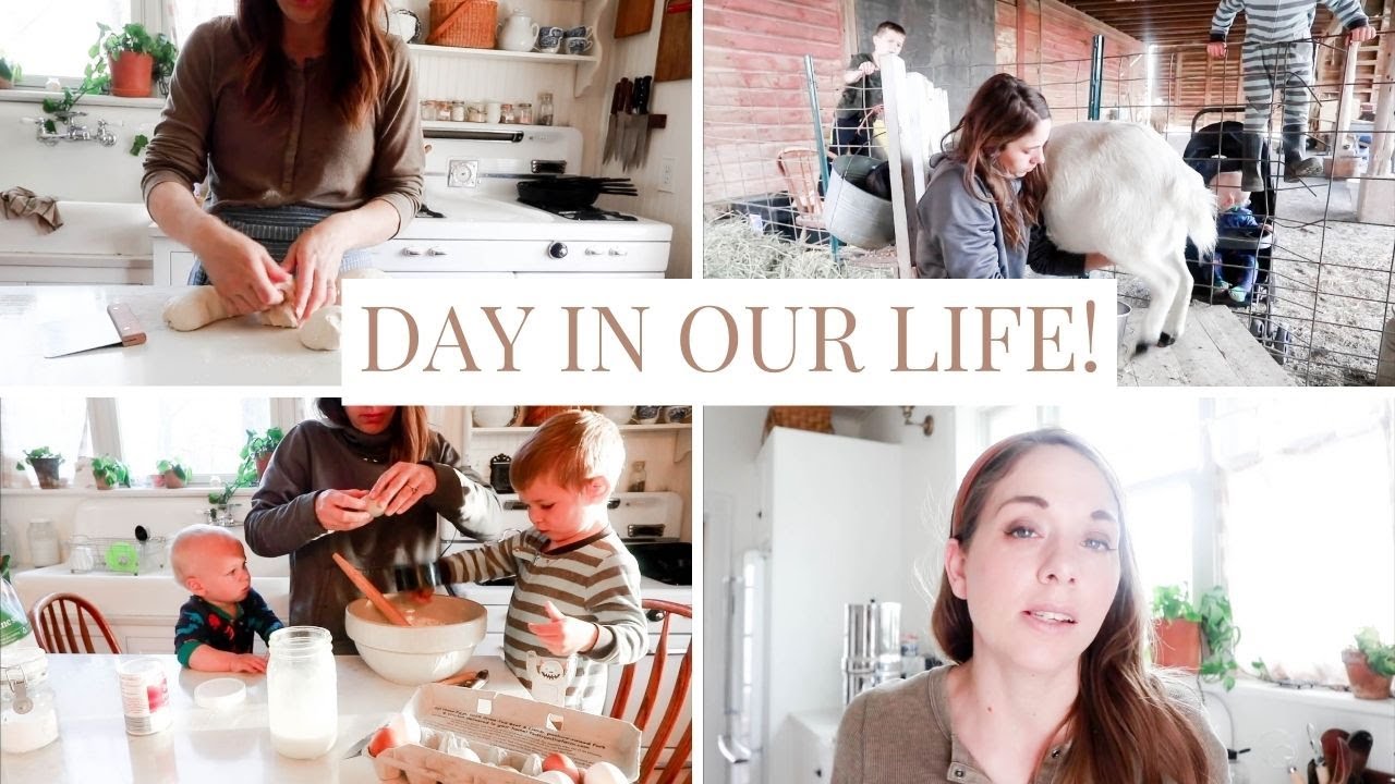 Family of 8 Day in the Life | Planting Fruit Trees, Blog Photography, Farm Chores, New Chicks