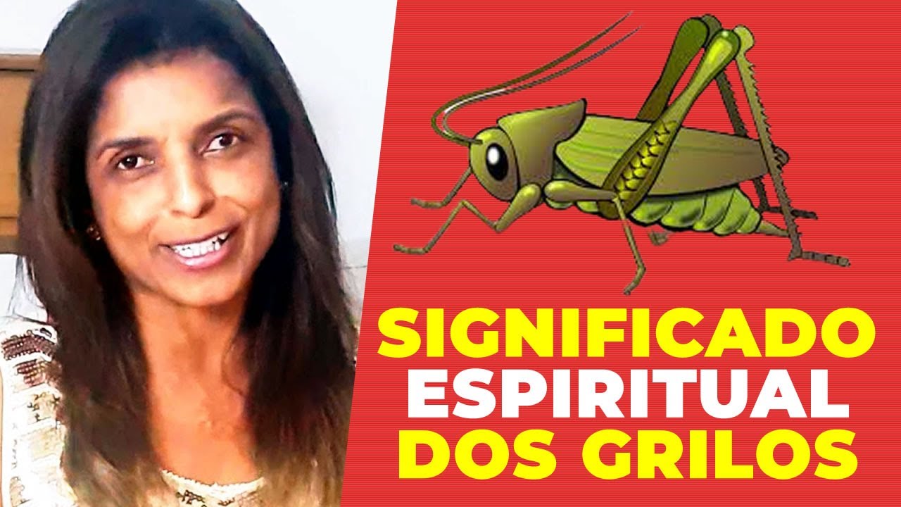 Significado espiritual dos Grilos com a Vidente Vandinha Lopes