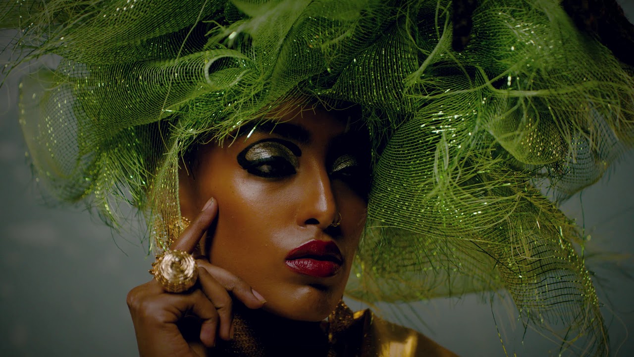 The Black Skinned Beauty