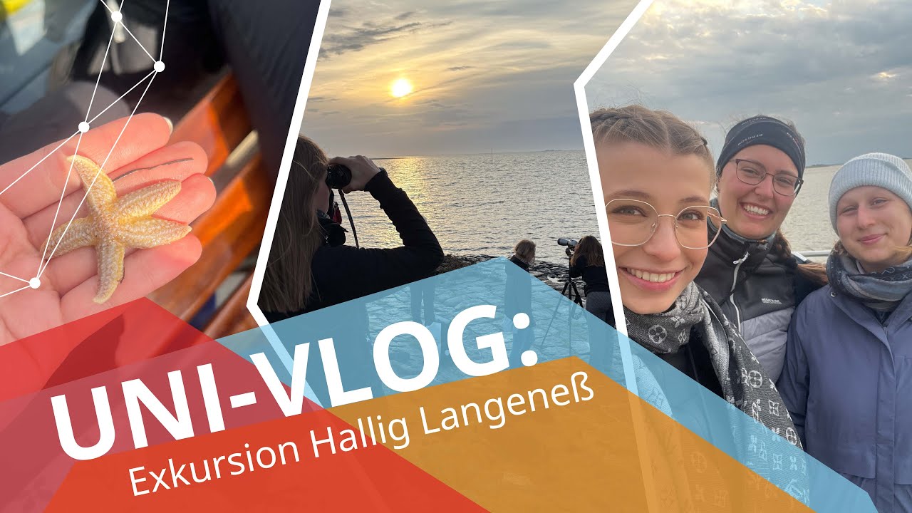 Abenteuer im Wattenmeer 🏝️🐚| Uni Vlog: Exkursion Lehramt Bio