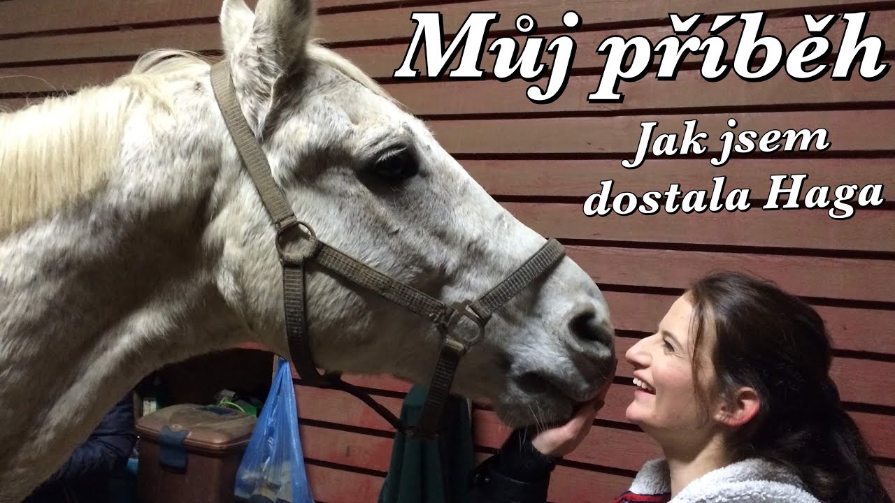 Můj příběh // Jak jsem dostala Haga
