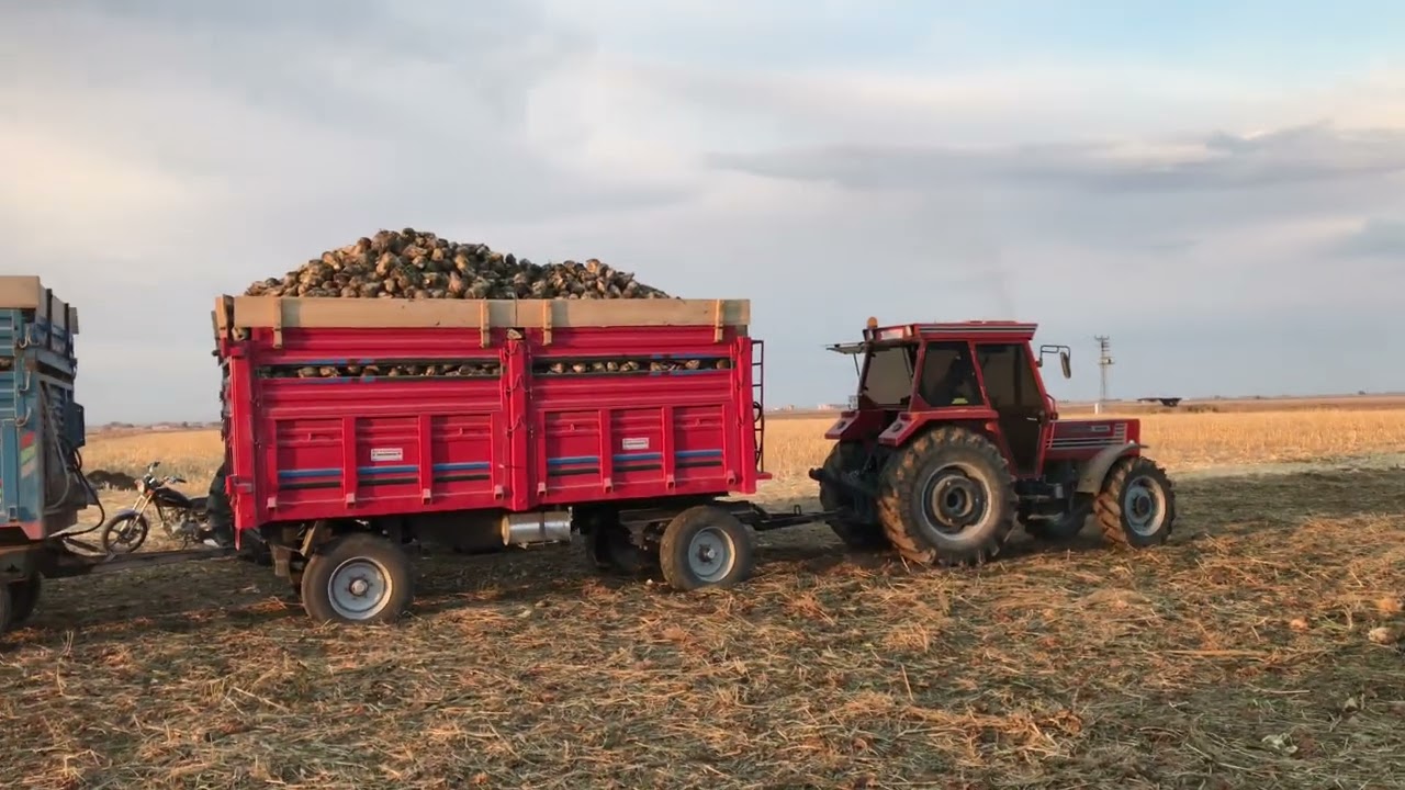 T&uuml;mosan 8095 30 tonla