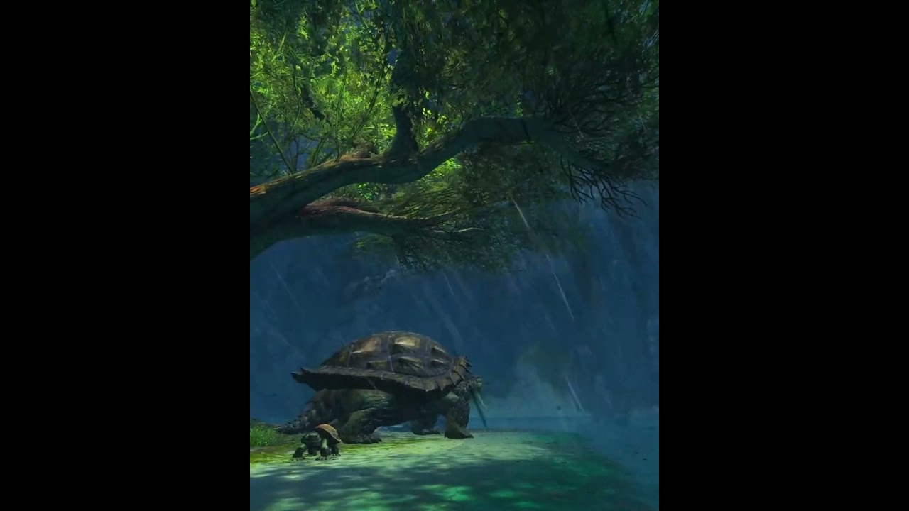dragon's end tortoises