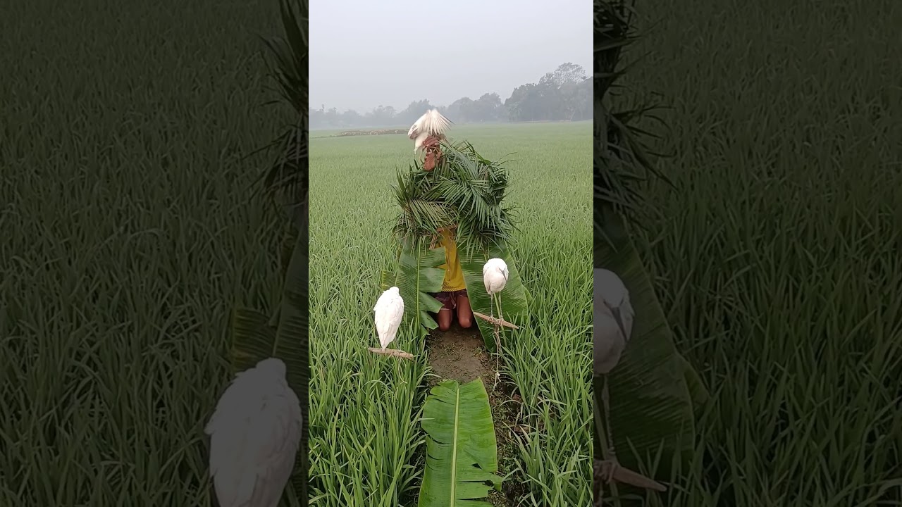 Why Did These Birds Fly Around Him? Watch This