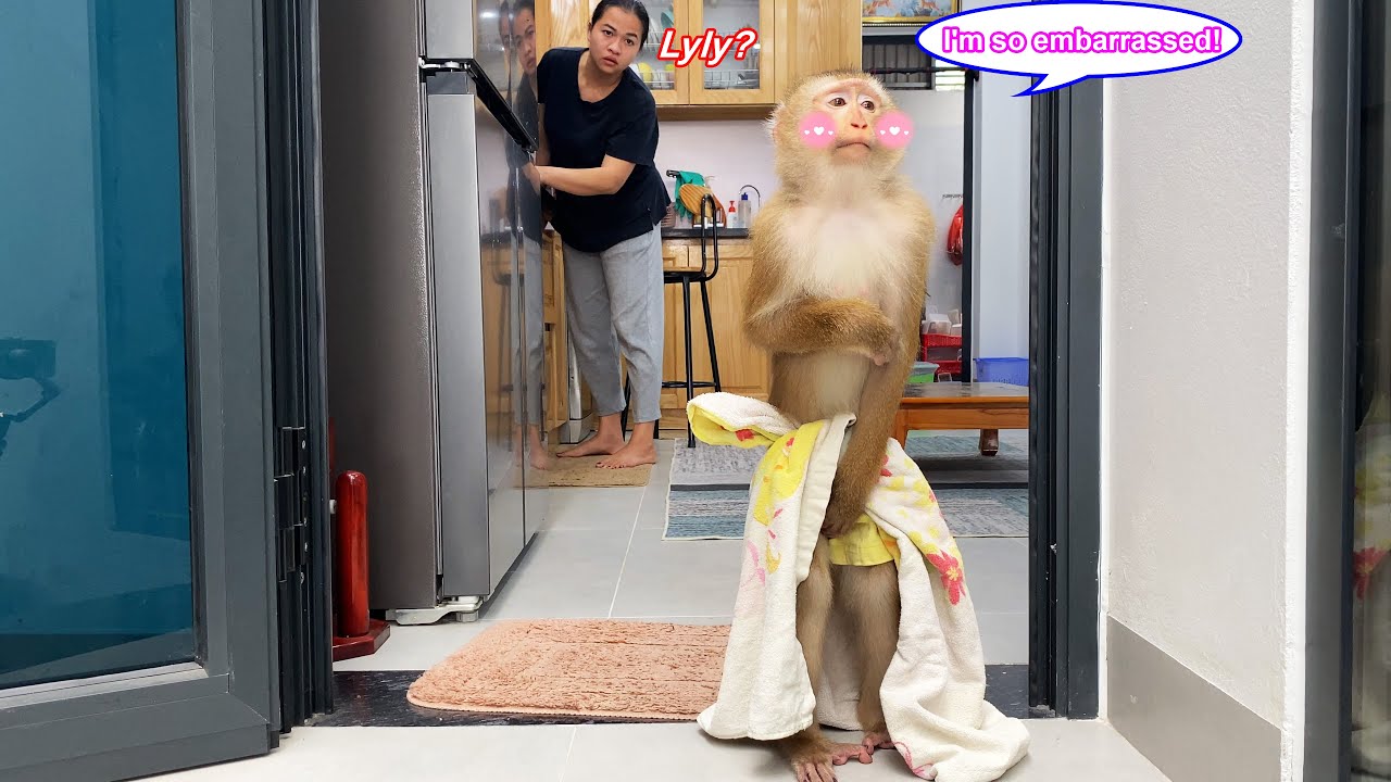 That's hilarious! Monkey Lyly was embarrassed when she got home, making her mom burst out laughing.