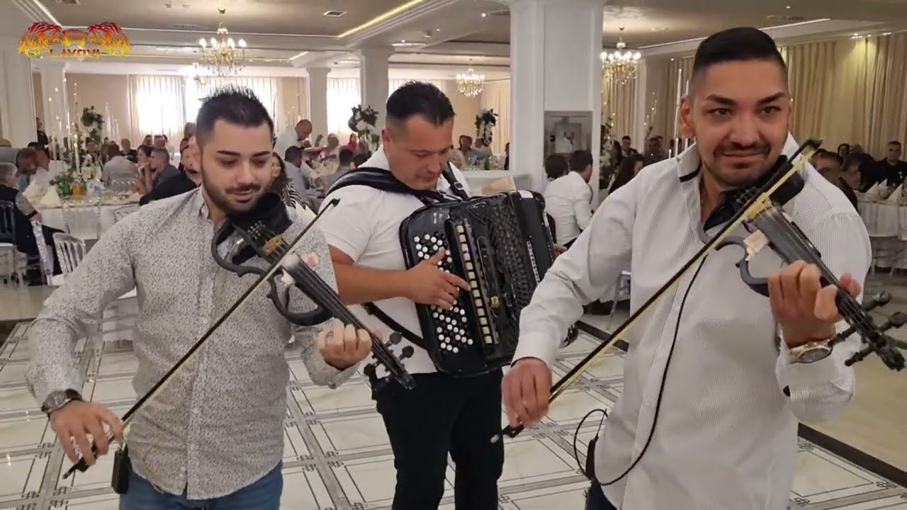 Orkestar Darka Antica LAVOVI -  Exclusive🪗🎻🎻🪗