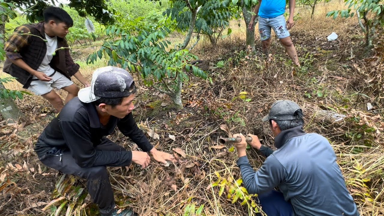 Trúng Lớn - Vua Chuột Ổ Tập Trung Ở Khu Vực Này | Hunting | - TT2129