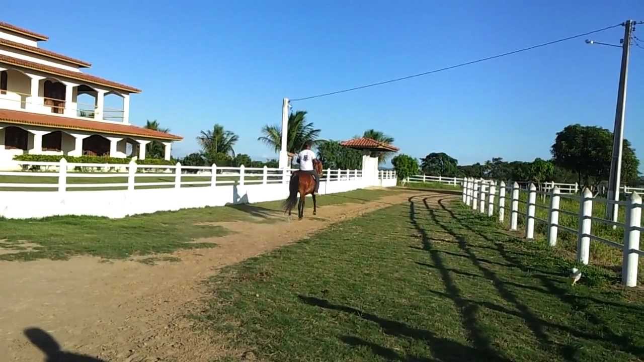 QUATINGA DA RIOCON - HARAS DA VILA LIBERDADE - IVAN DIAS - PRIMEIRA MONTADA