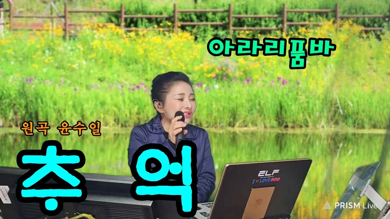 아라리품바 - 추억(원곡 윤수일)