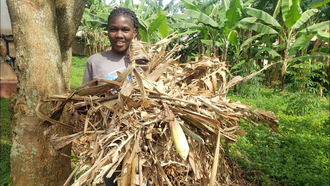 what i used to get rid of  bad smell from my Pit latrine(Uganda EastAfrica)