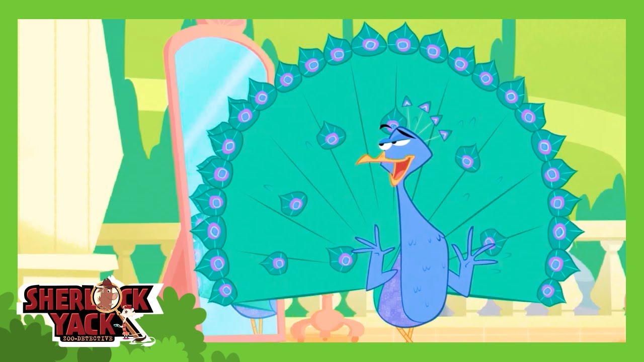 🦚 Who Clipped the Peacocks Beautiful Feathers? | Sherlock Yack | Cartoons for Kids