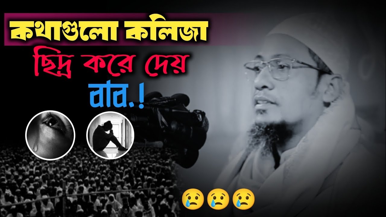 কথাগুলো কলিজা ছিদ্র করে দেয় বাপ 😢😢😢||আনিসুর রহমান আশরাফী 